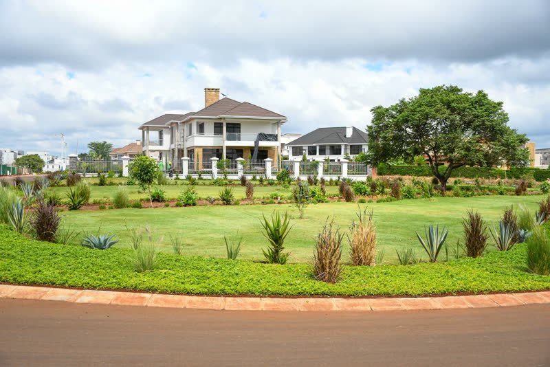 Homes on a finished street