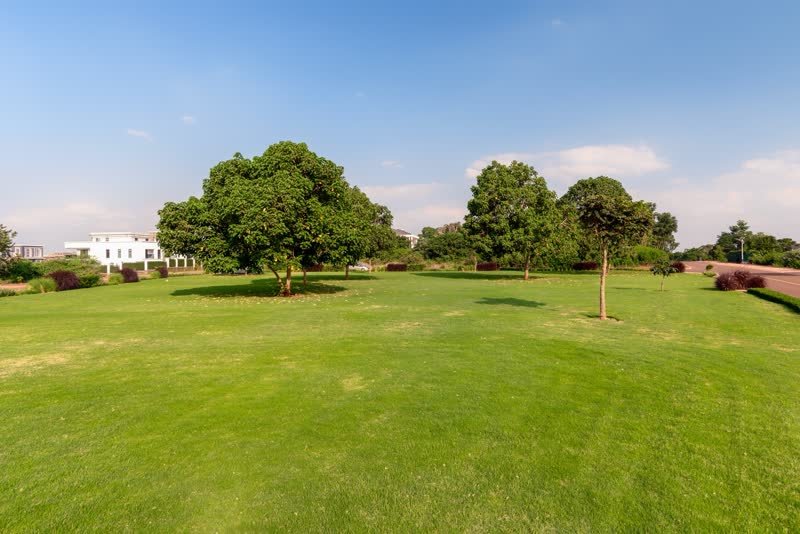 Landscaped open space
